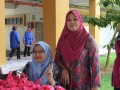 Tn 232 DSC 1093